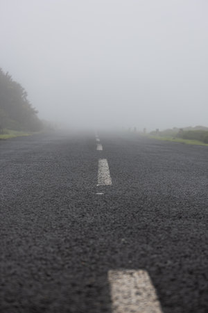 A Silent Morning on a Misty Roadの写真素材