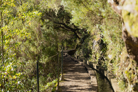 Hiking path along irrigation canal to Lagoa das 25 Fontes on Madeira, Portugalの写真素材