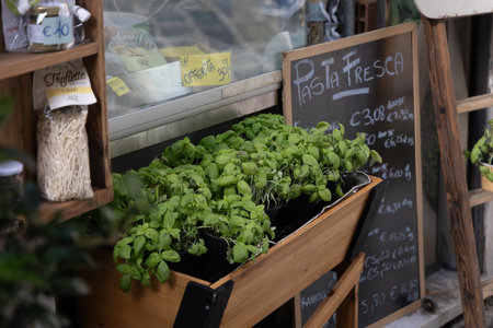 Fresh Basil Leaves for Healthy Eating at a Small Marketの写真素材
