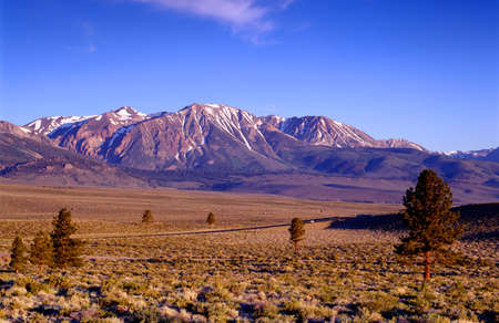 Early morning in East Sierra between mammoth and Lee Viningの写真素材
