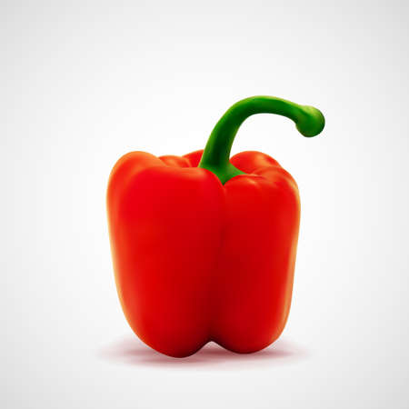 Fresh red paprika pepper over white background, eps10 vector illustrationのイラスト素材