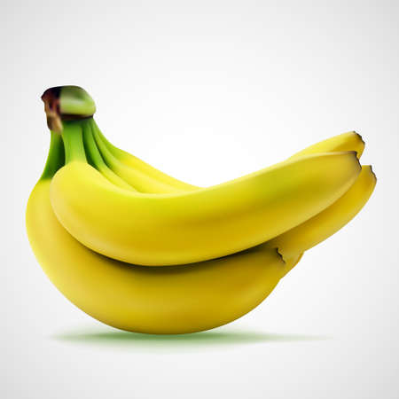 Bunch of fresh yellow bananas, eps10 vector compositionのイラスト素材