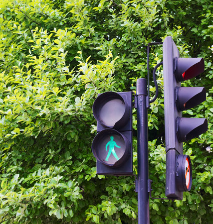 Traffic light with a pedestrian symbol on against the green tree background
