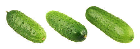Green fresh cucumbers isolated over white background, set of three foreshorteningsの写真素材