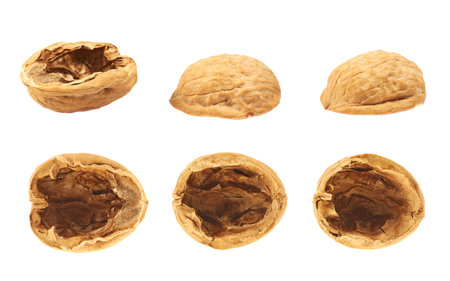 Walnut shells isolated over white , set of six foreshortening