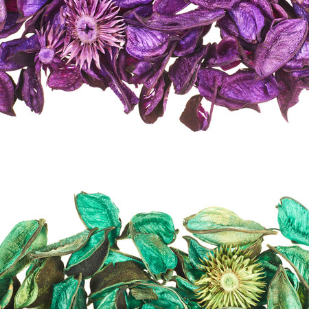 Medley violet and green potpourri leaves copyspace background composition over white foregroundの写真素材