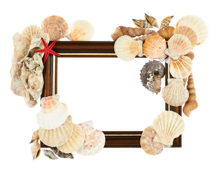 Empty copyspace picture wooden brown frame decorated with seashells isolated over the white...