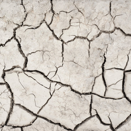 Dried and cracked mud soil fragment as a background textureの写真素材