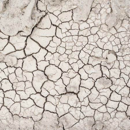 Dried and cracked mud soil fragment as a background textureの写真素材