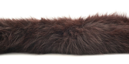 Strip of brown fur isolated over the white background