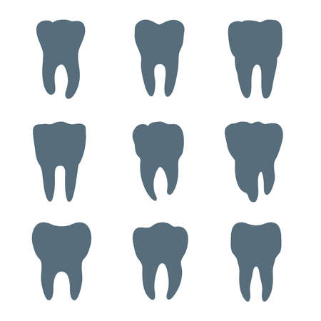 Vector set of nine teeth silhouettes, each tooth has different shape and sizeのイラスト素材