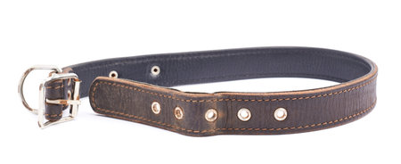 Old leather dog-collar isolated over the white backgroundの写真素材