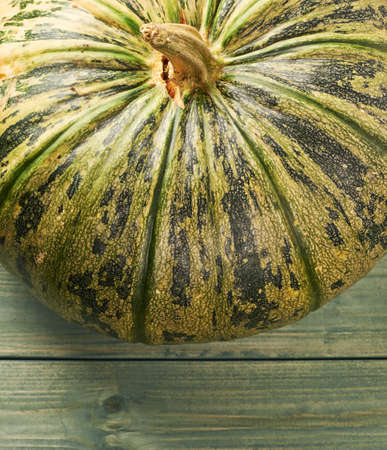 Green pumpkin composition over the background made of light green colored pine wooden boardsの写真素材