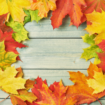 Copyspace frame made of maple leaves over the wooden boards