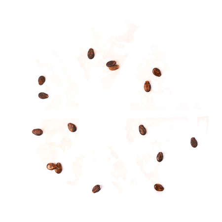 Watermelon\'s leftovers of its seeds and juices isolated over the white backgroundの写真素材