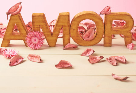 Word Amor meaning Love in multiple languages as a composition of wooden block letters covered with the dried flower potpourri leaves against the pink backgroundの写真素材