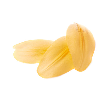 Yellow royal trinity lily petal leaves composition isolated over the white の写真素材