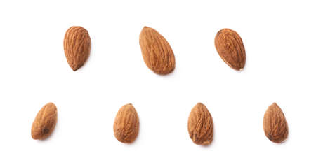 Set of seven almond seed images isolated over the white backgroundの写真素材
