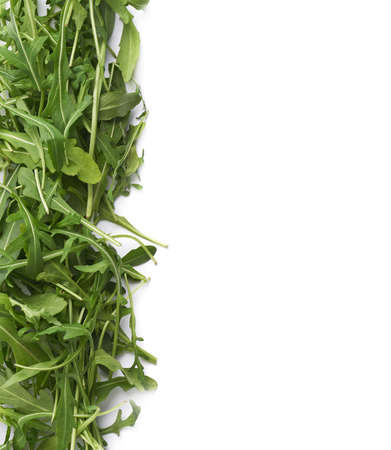 Eruca sativa rucola arugula fresh green rocket salad leaves aligned as a copyspace background composition isolated over the white backgroundの写真素材