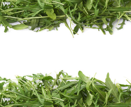 Eruca sativa rucola arugula fresh green rocket salad leaves aligned as a copyspace background composition isolated over the white backgroundの写真素材