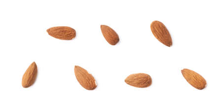 Set of seven almond seed images isolated over the white backgroundの写真素材