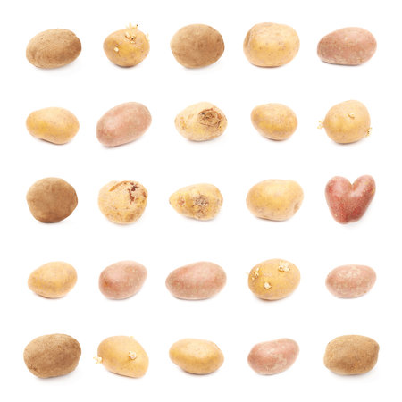 Set of multiple different potatoes isolated over the white backgroundの写真素材