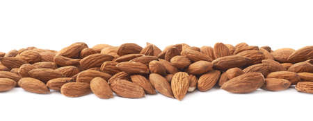 Decorative border line made of multiple almond seeds isolated over the white backgroundの写真素材