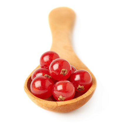 Wooden spoon filled with ripe Red Currant berries isolated over white backgroundの写真素材