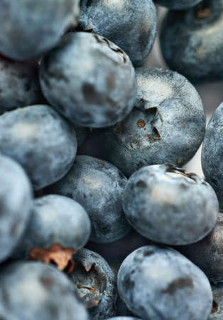 Ripe bilberry or blueberry as texture backgroundの写真素材
