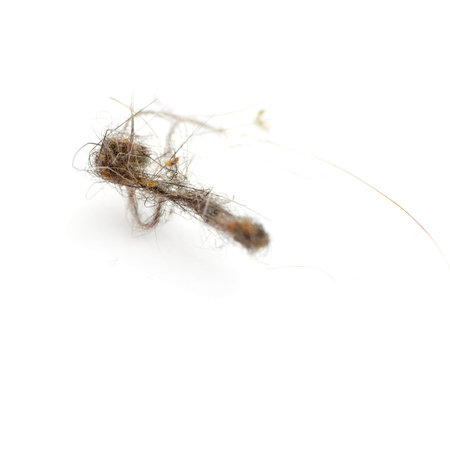 Ball dust of hairs isolated over the white background, macro
