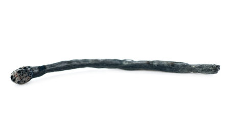 Wooden used burnt match isolated over the white background