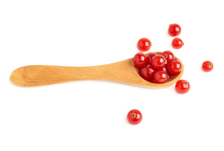 Wooden spoon filled with ripe Red Currant berries isolated over white backgroundの写真素材