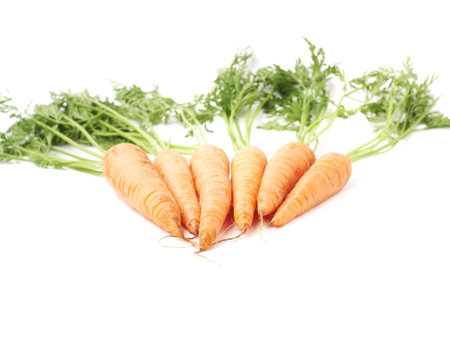 Bunch of unpeeled carrot with the green top isolated over white backgroundの写真素材