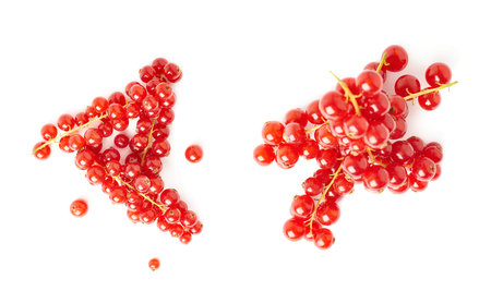 Set of Red ripe  Currant berries isolated over white background