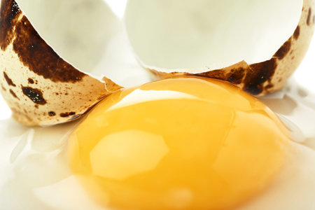 Single cracked raw quail egg with yolk over white surface