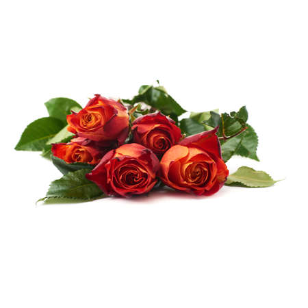 Bouquet of red orange roses over white isolated backgroundの写真素材