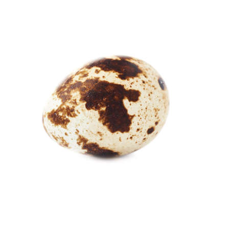 Single quail egg isolated over white backgroundの写真素材