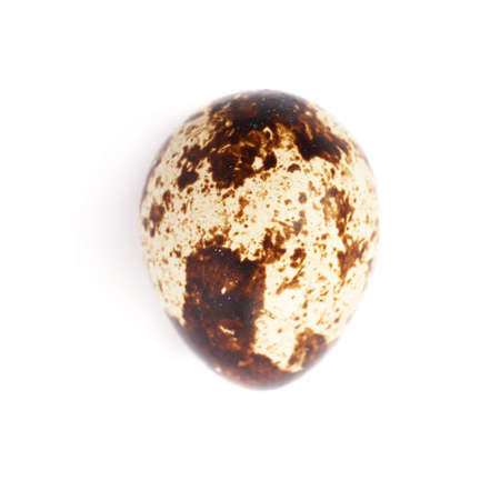 Single quail egg isolated over white backgroundの写真素材