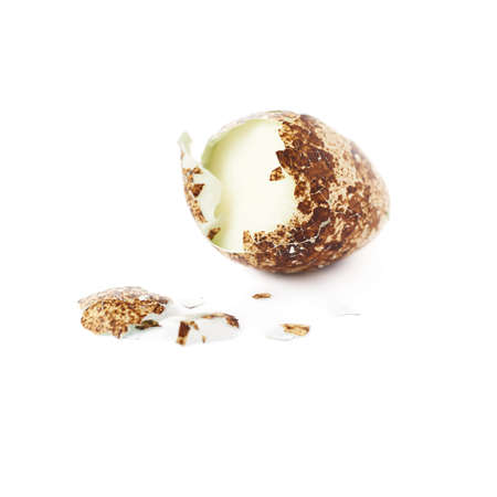 Single peeled quail egg isolated over white backgroundの写真素材