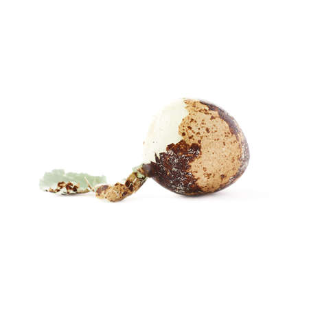 Single peeled quail egg isolated over white backgroundの写真素材