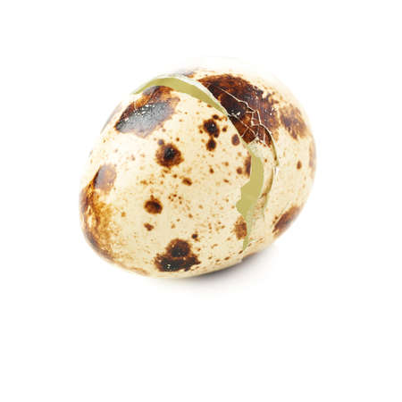Quail egg shell cracked and broken in halves isolated over white backgroundの写真素材