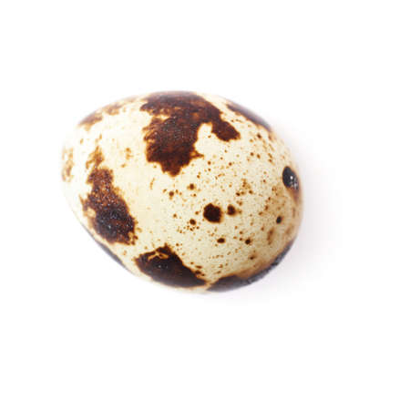Single quail egg isolated over white backgroundの写真素材