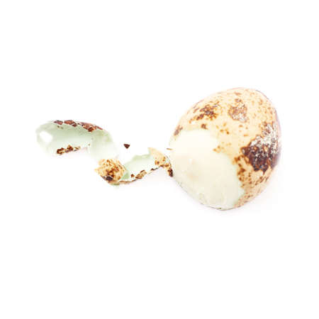 Single peeled quail egg isolated over white backgroundの写真素材