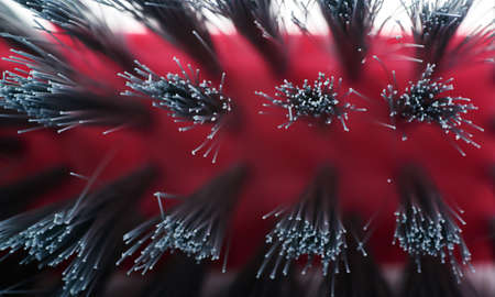 Cleaning brush gray bristle hair over isolated white backgroundの写真素材