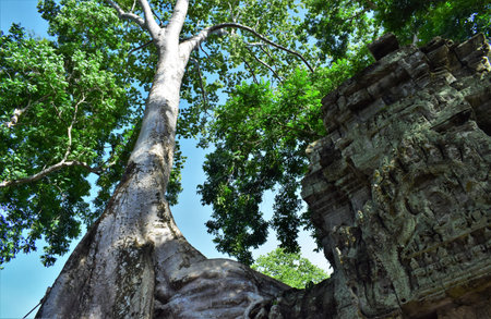 Temple grounds in Cambodia