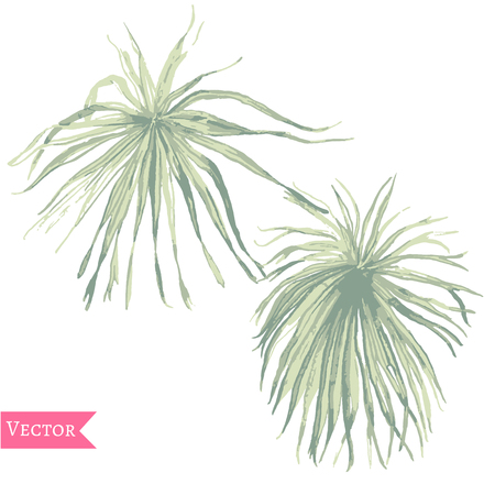 Abstract watercolor vector palm leaves Tropical plants isolated on white, Hand drawn exotic swimwear elements.のイラスト素材