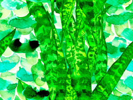 Exotic Swimwear Design. Hawaii Aquarelle Print. Vintage Peonie Eco Rapport. Summer Blossom Background. Botanical Floral Illustration. Watercolor Roses, Peony and Leaves Seamless Pattern.の写真素材