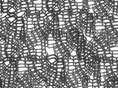 Crocodile Seamless Pattern. Predator Animal Skin Print. Dragon Skin Imitation. Monochrome and...