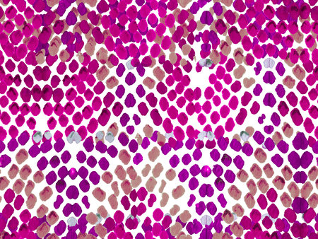 Vibrant Geometric Swimwear Pattern. Ethnic Seamless Pattern. Geo Symmetric Ikat Rapport. Snake Skin...