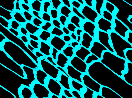 Hand Drawn Crocodile Pattern. Classic Blue and Indigo Africa Animal Leather Illustration. Alligator...